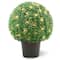 2ft. Mini Boxwood Ball Shaped Topiary Tree in Round Green Growers Pot, 70 Clear Lights